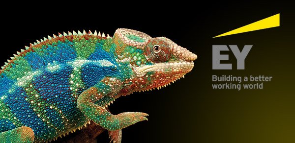 Agence K2 - Ernst & Young - Cabinet d'audit Financier