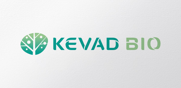 Agence K2 - Kevad Bio - Preserve & revive the neuronal network